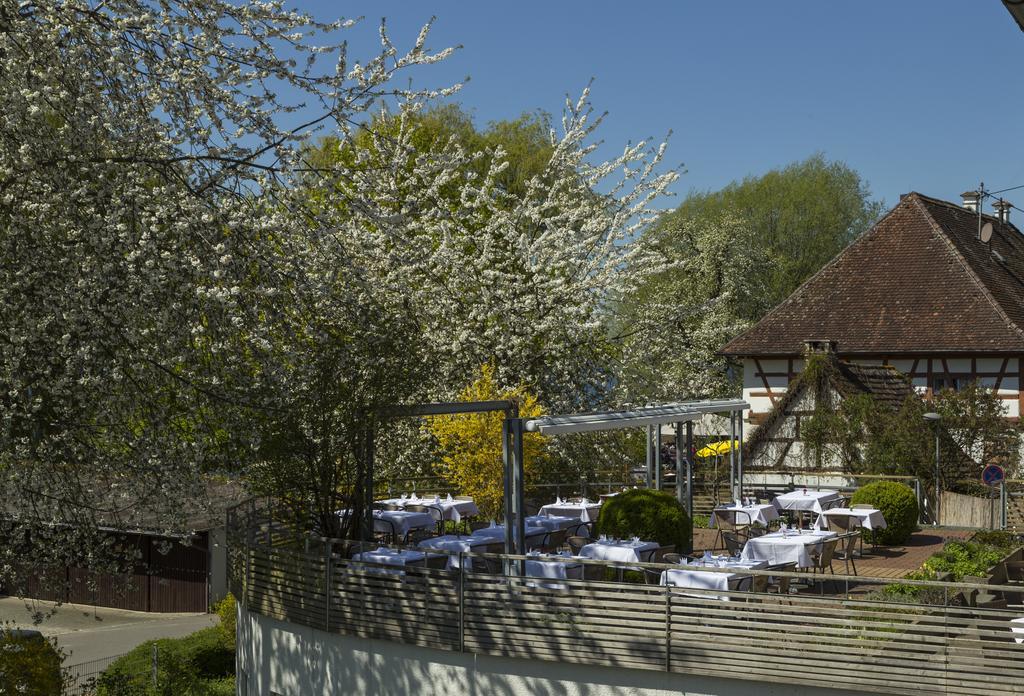 Pilgerhof Und Rebmannshof Hotel Uhldingen-Mühlhofen Kültér fotó